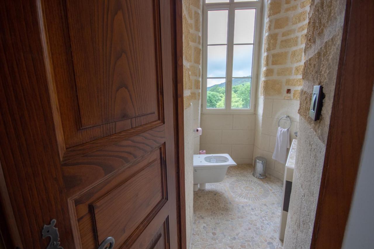 Chateau De Druon Sevignacq-Meyracq Bagian luar foto